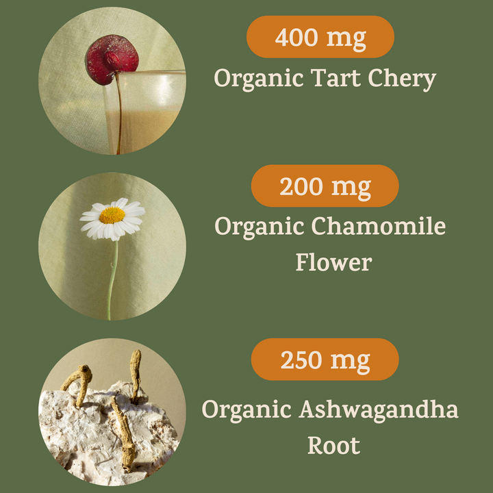 Restore My Sleep ingredient guide