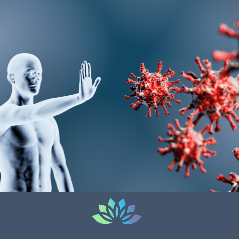 Immune Support Supplements