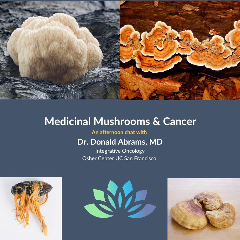 Medicinal Mushroom Benefits for Cancer